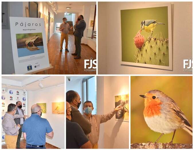 La muestra se inauguró este miércoles en el Teatro Municipal de Telde/Francisco Javier Santana.